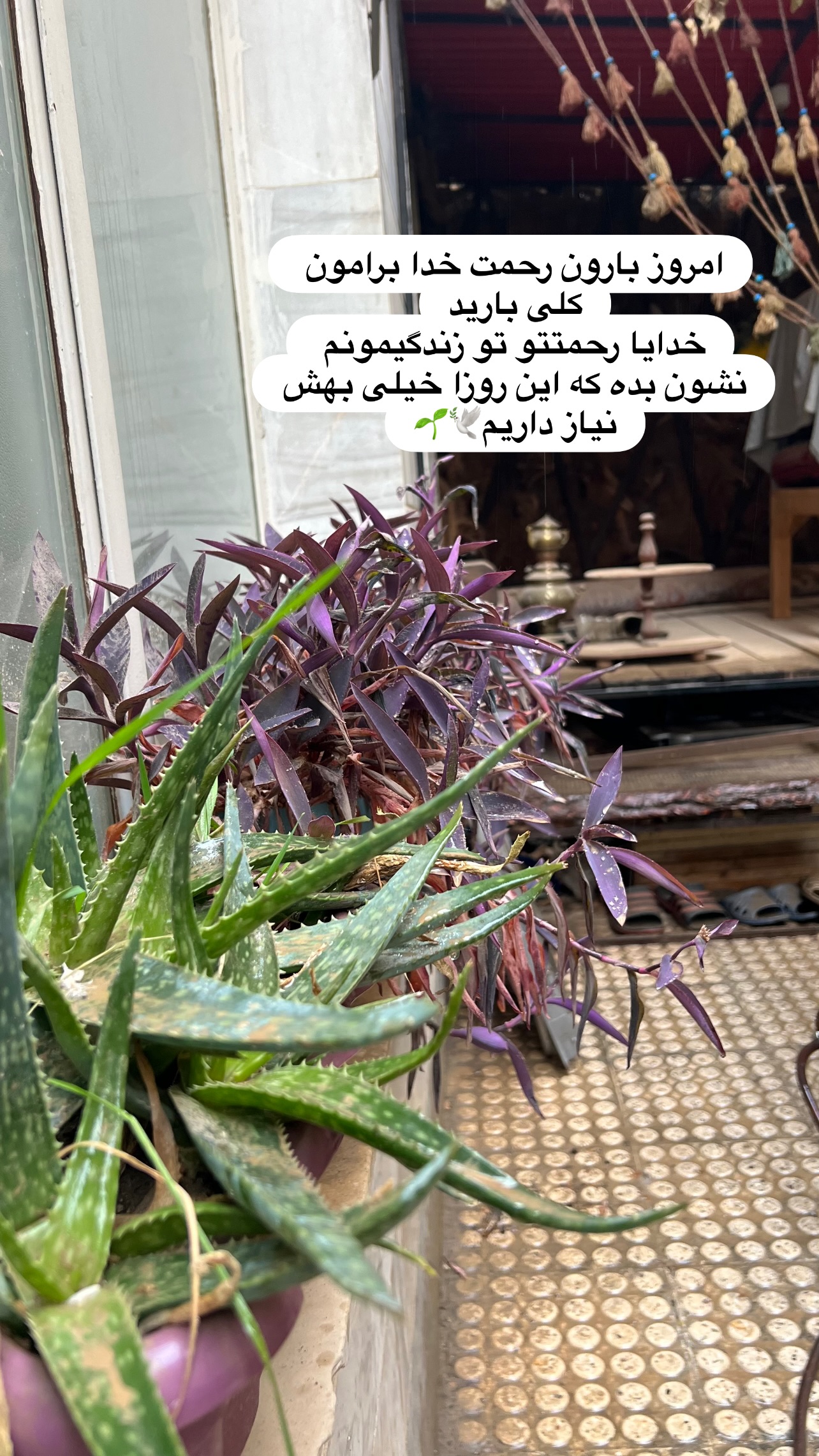  جدید ترین استوری اینستاگرام مهرسا سامی