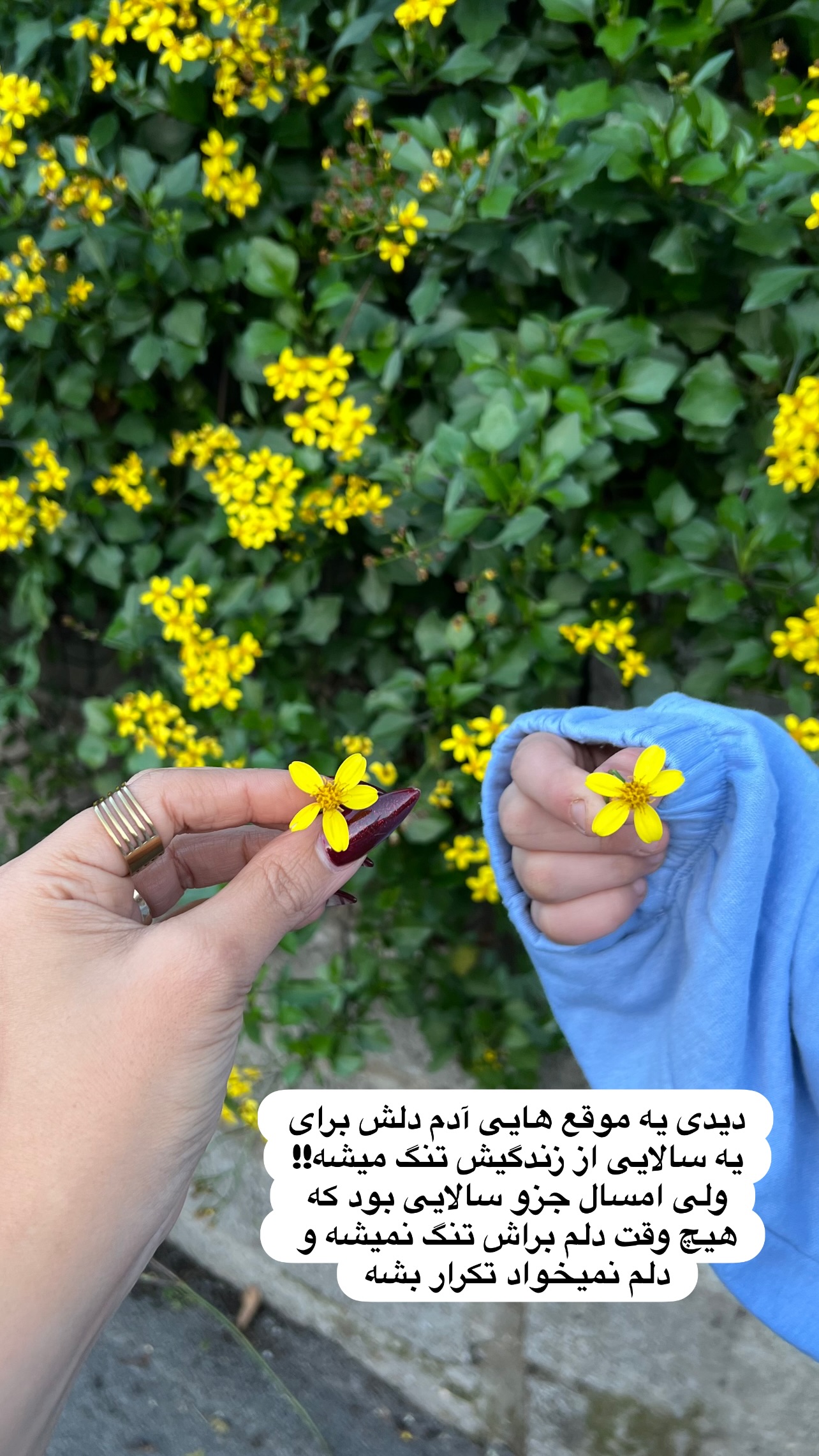  جدید ترین استوری اینستاگرام مهرسا سامی