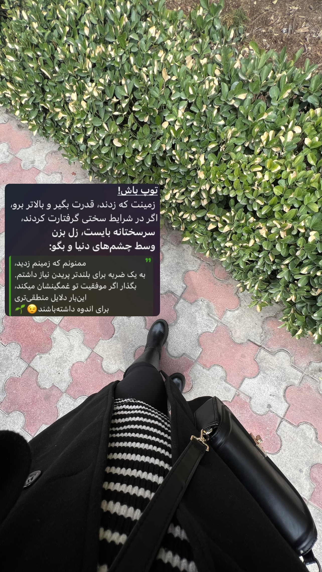  جدید ترین استوری اینستاگرام مهرسا سامی
