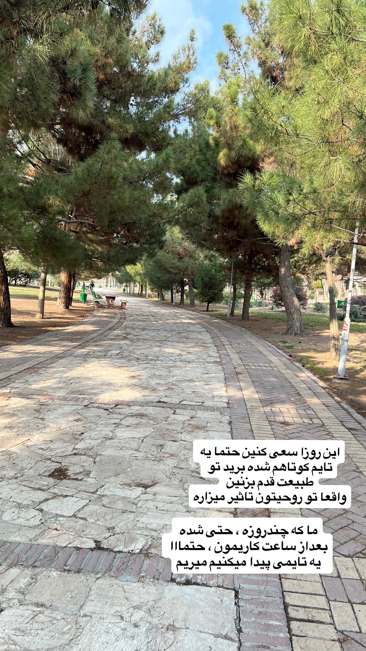  جدید ترین استوری اینستاگرام مهرسا سامی