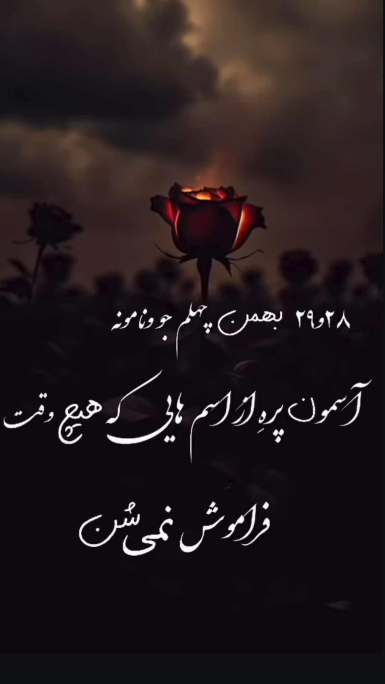  جدید ترین استوری اینستاگرام مهرسا سامی