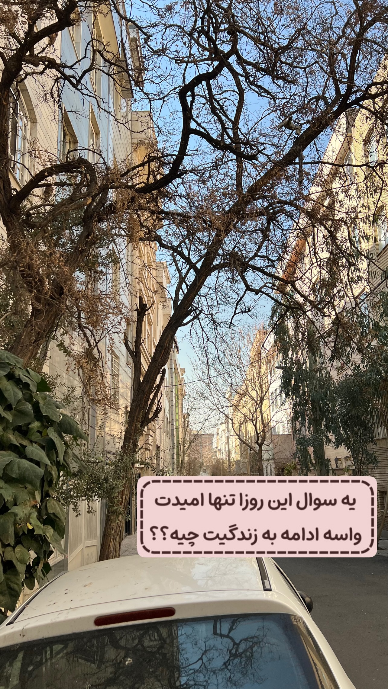  جدید ترین استوری اینستاگرام مهرسا سامی