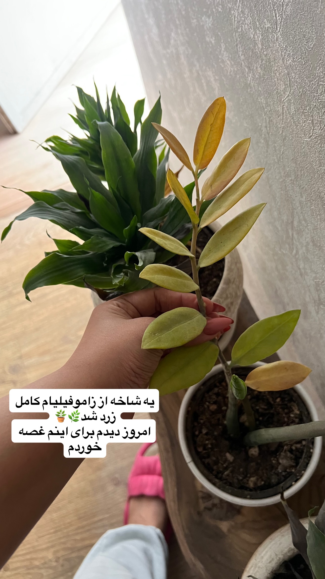  جدید ترین استوری اینستاگرام مهرسا سامی