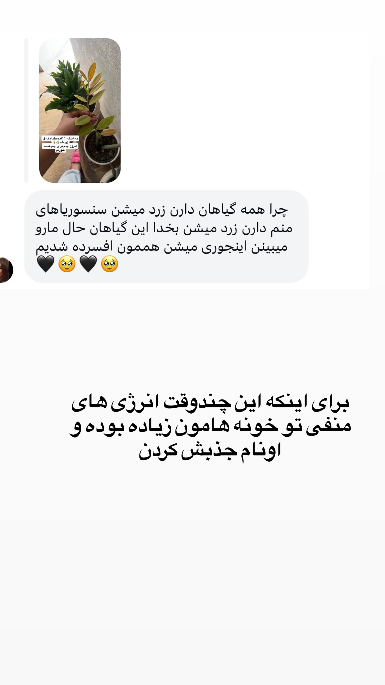  جدید ترین استوری اینستاگرام مهرسا سامی