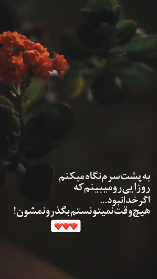  جدید ترین استوری اینستاگرام مهرشاد گل مکانیان