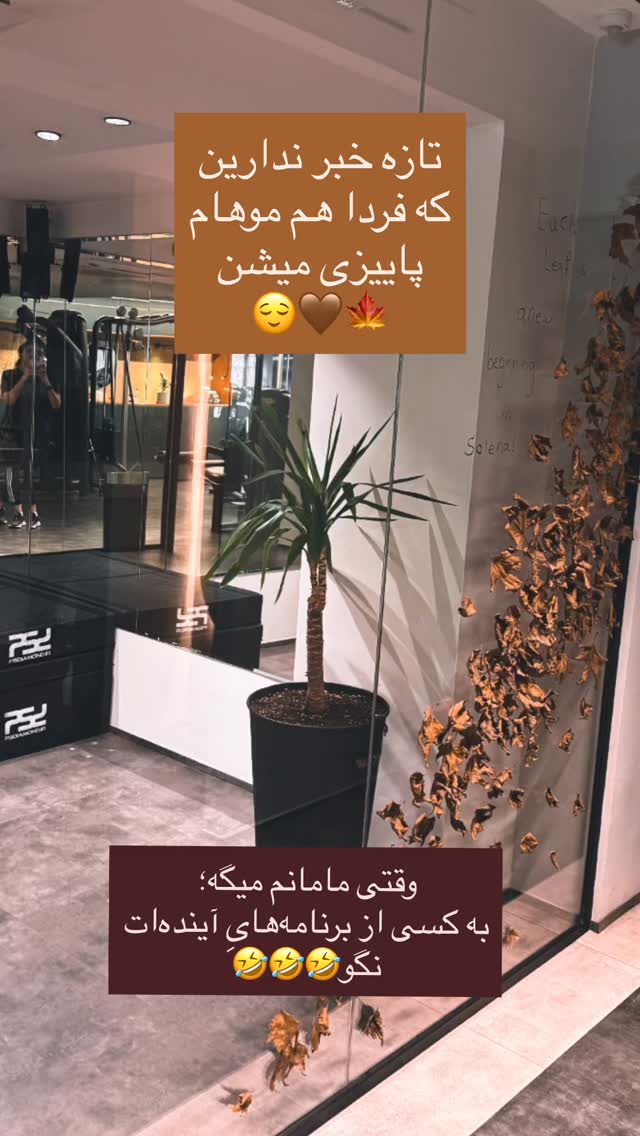  جدید ترین استوری اینستاگرام مهرشاد گل مکانیان