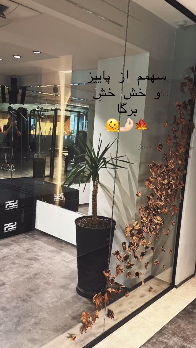  جدید ترین استوری اینستاگرام مهرشاد گل مکانیان