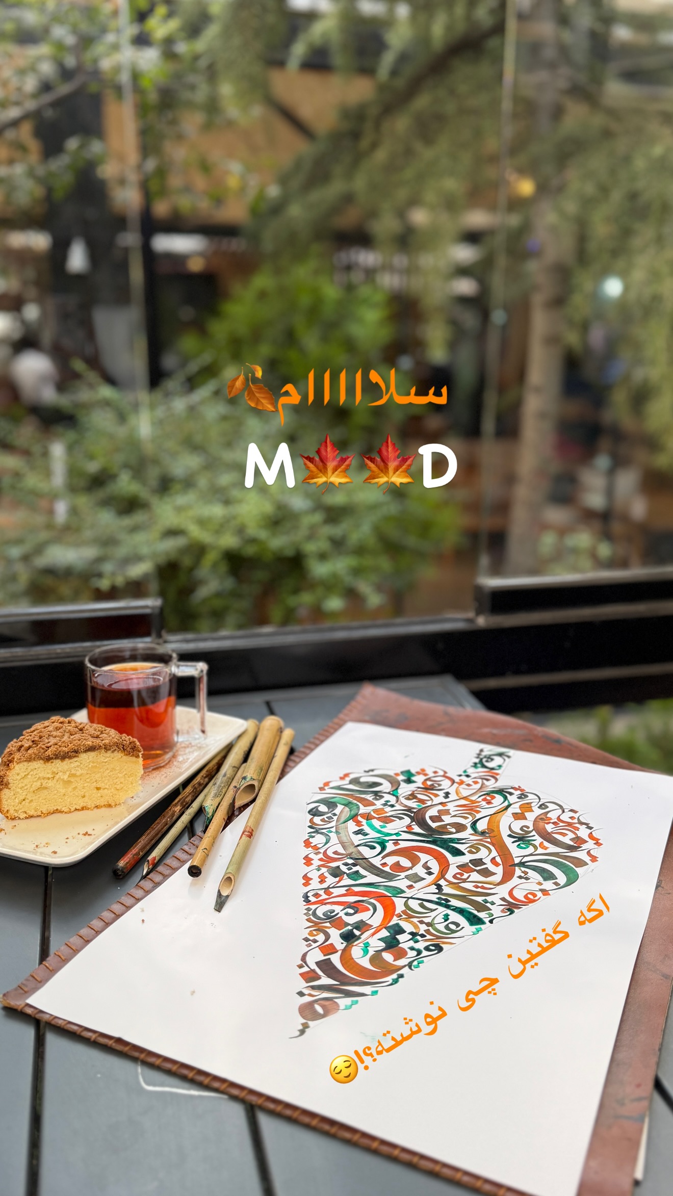  جدید ترین استوری اینستاگرام مهرشاد گل مکانیان