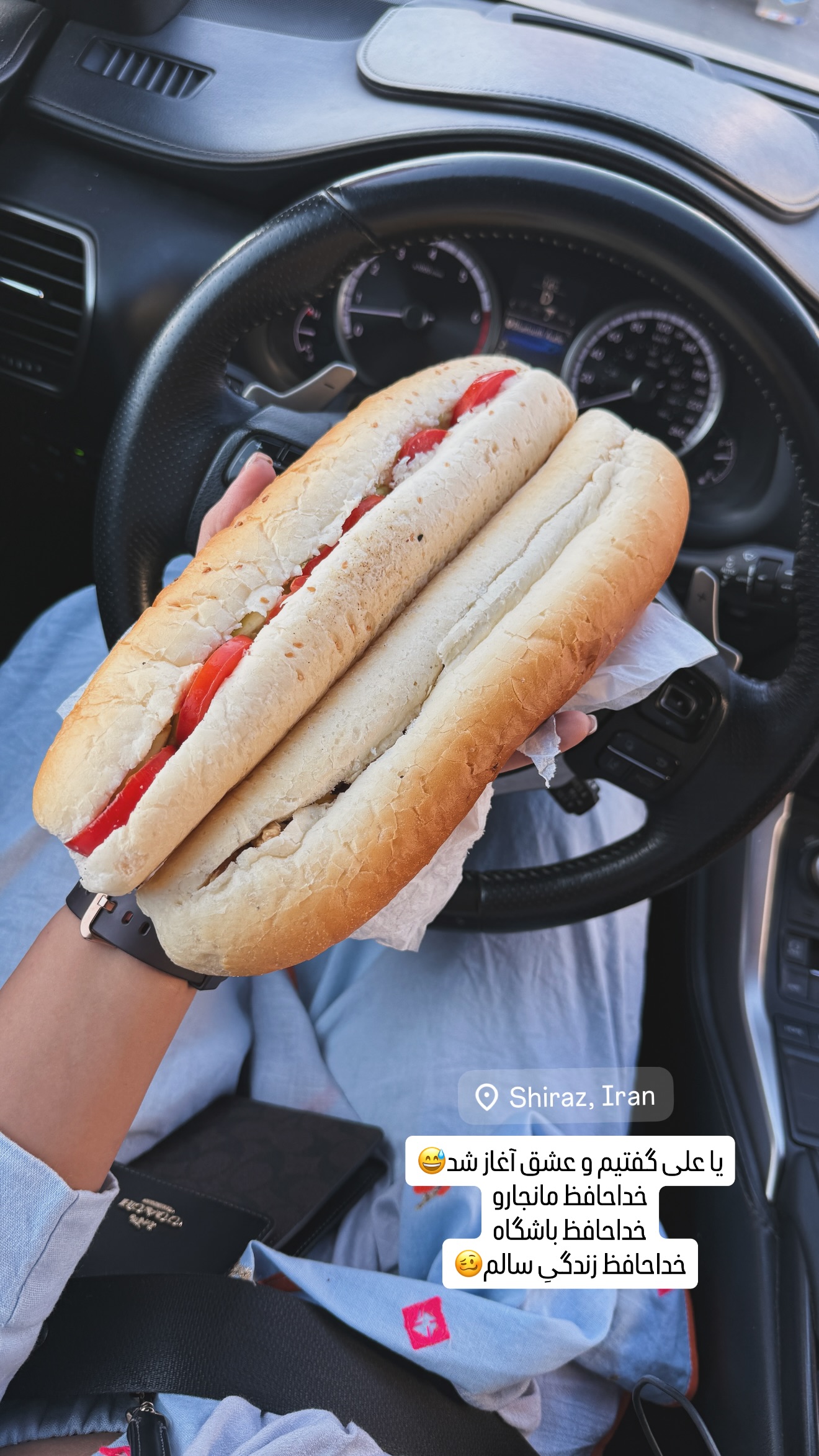  جدید ترین استوری اینستاگرام مهرشاد گل مکانیان