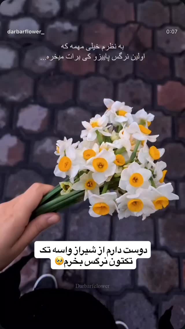  جدید ترین استوری اینستاگرام مهرشاد گل مکانیان