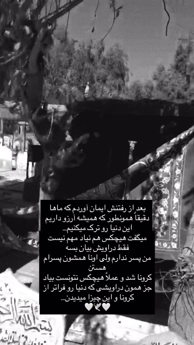  جدید ترین استوری اینستاگرام مهرشاد گل مکانیان