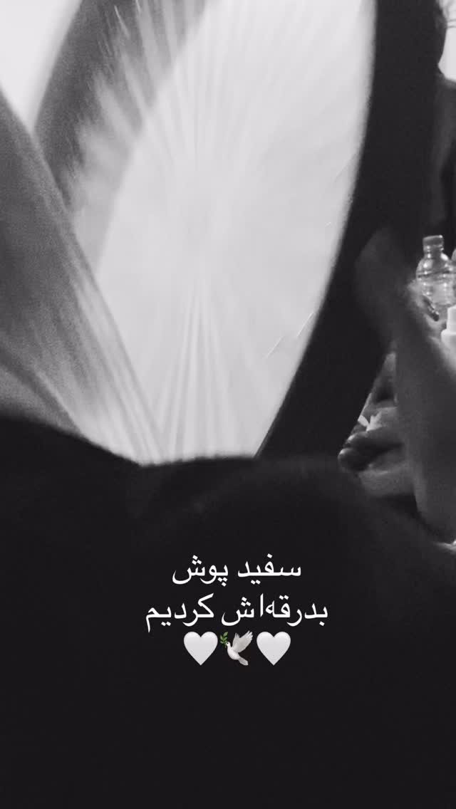  جدید ترین استوری اینستاگرام مهرشاد گل مکانیان