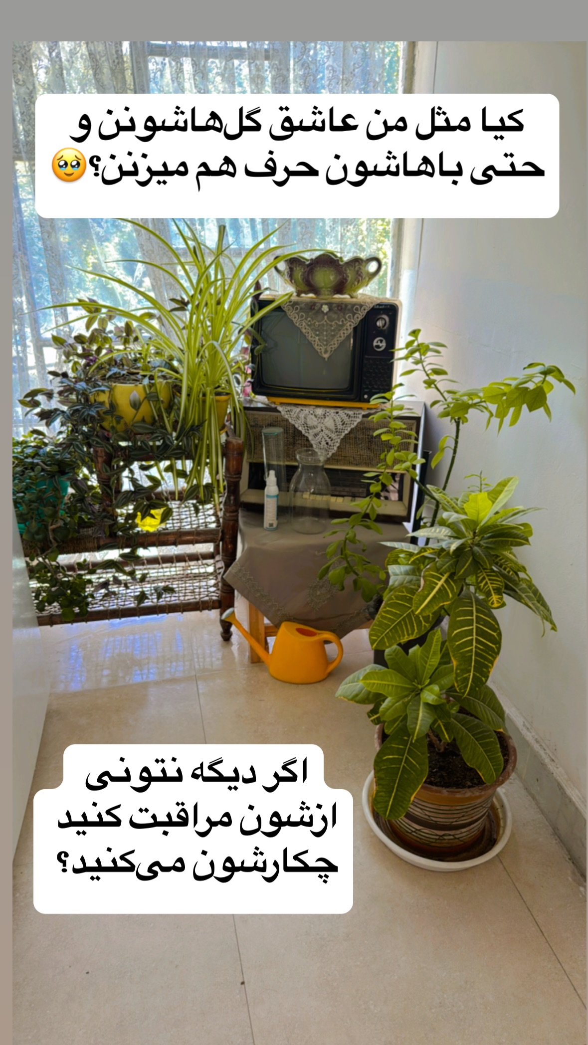  جدید ترین استوری اینستاگرام زهرا صفاریان