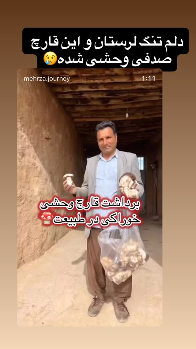  جدید ترین استوری اینستاگرام زهرا صفاریان