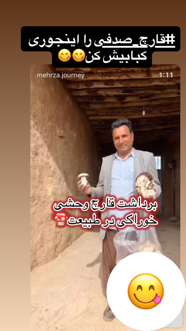  جدید ترین استوری اینستاگرام زهرا صفاریان