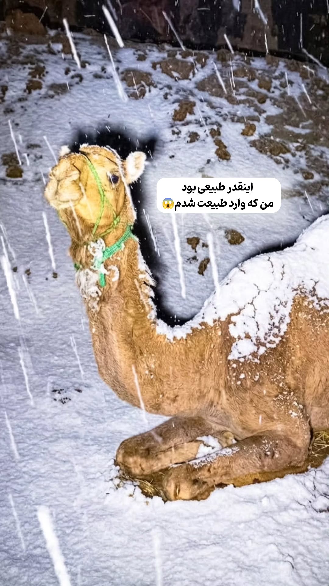  جدید ترین استوری اینستاگرام میثم