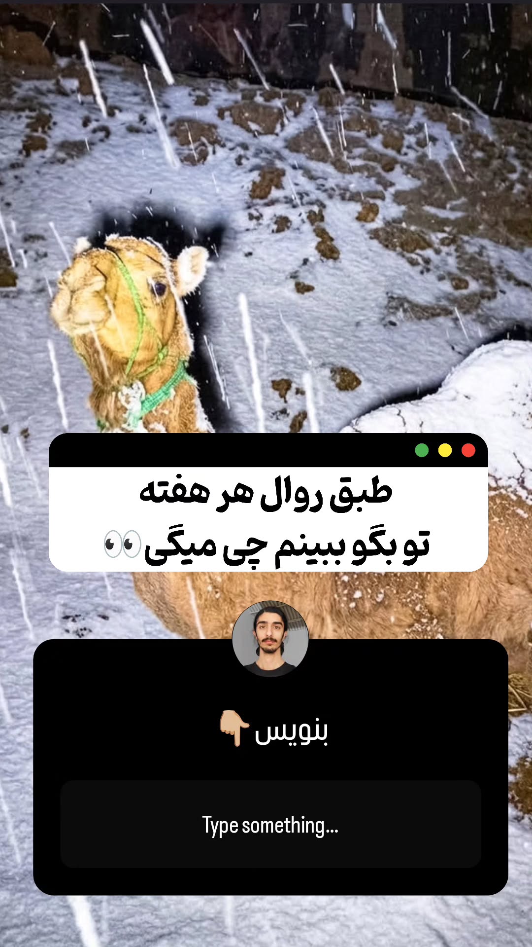  جدید ترین استوری اینستاگرام میثم