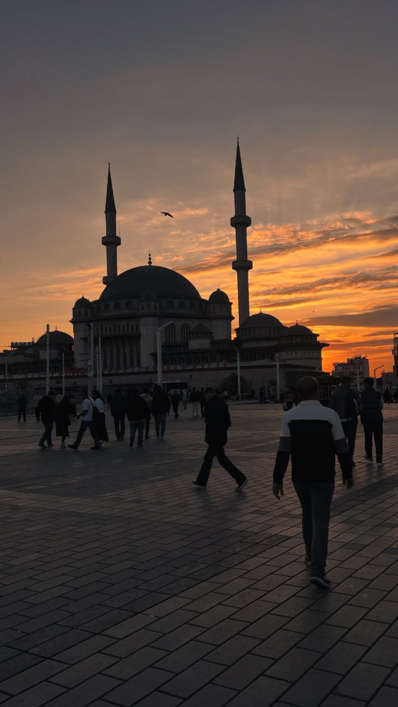  جدید ترین استوری اینستاگرام  ملیکا کلهری