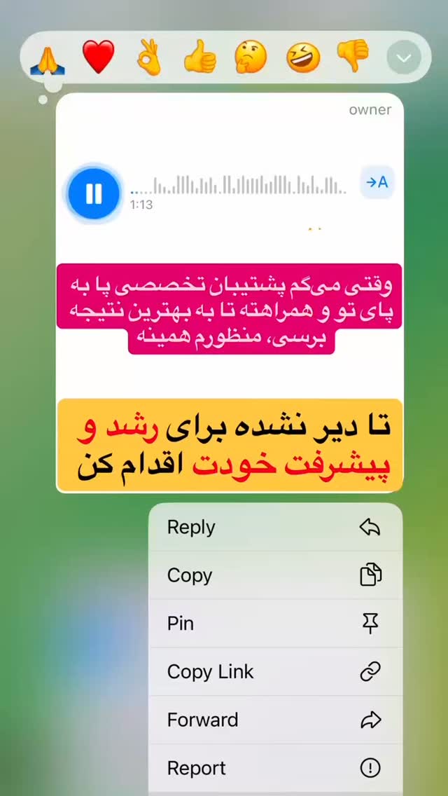  جدید ترین استوری اینستاگرام ملیکا پیغمبری