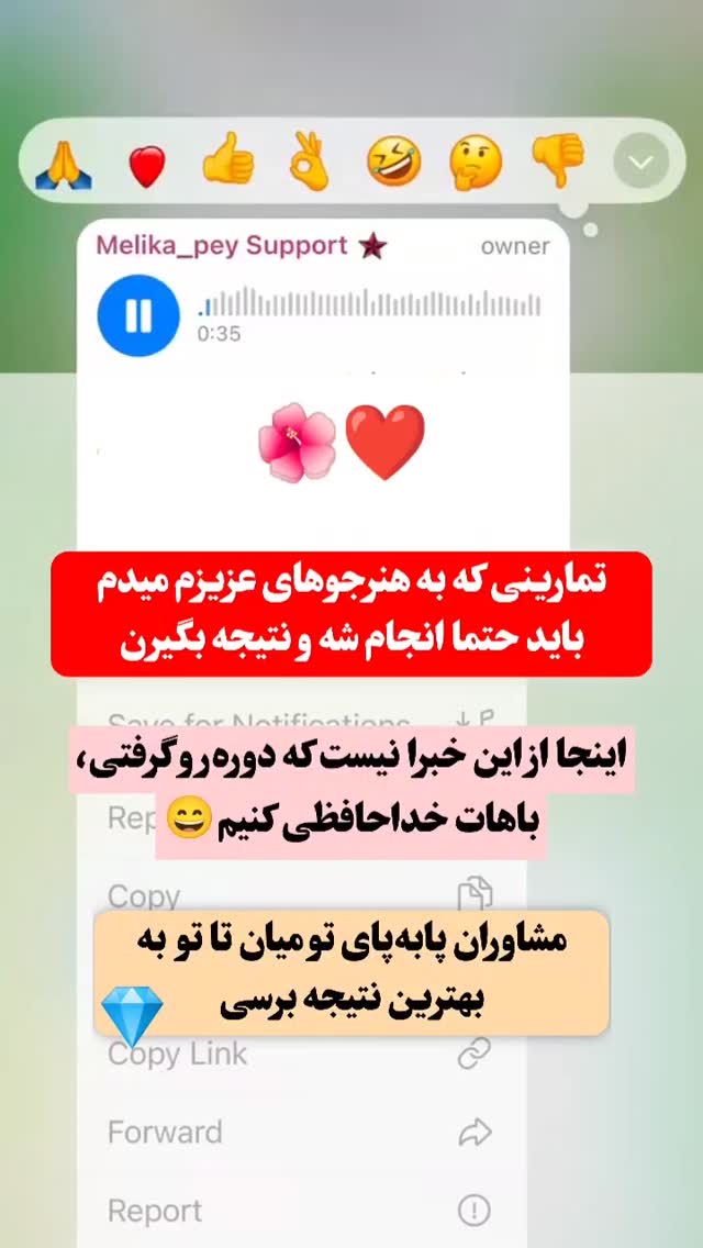  جدید ترین استوری اینستاگرام ملیکا پیغمبری