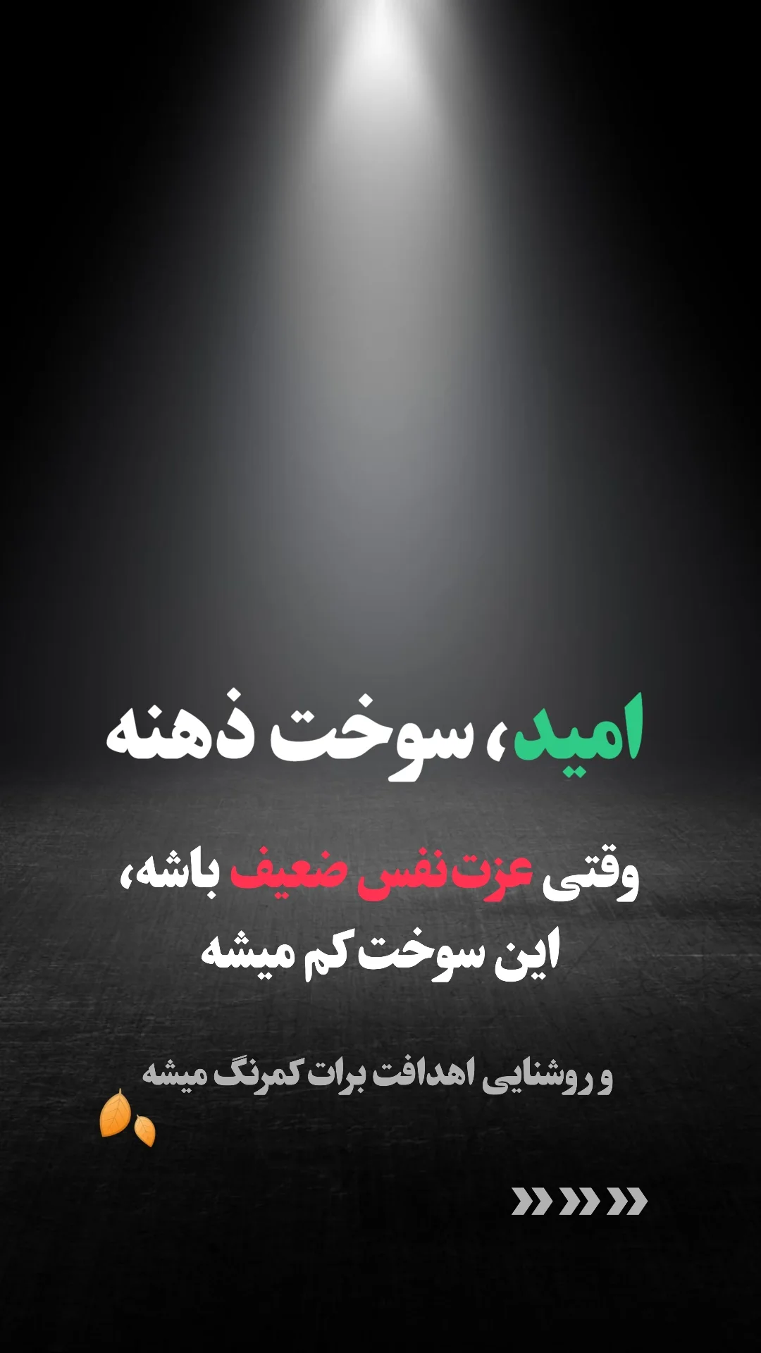  جدید ترین استوری اینستاگرام ملیکا پیغمبری