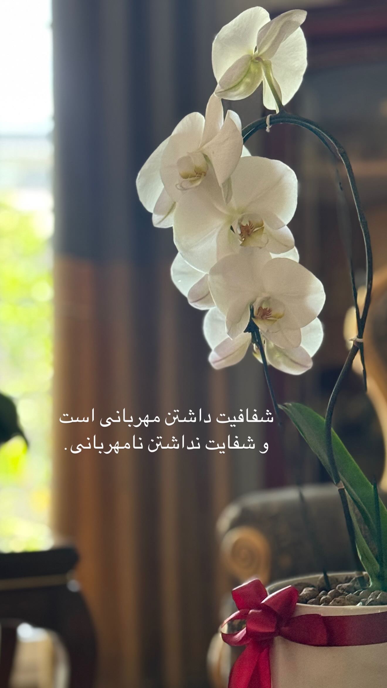  جدید ترین استوری اینستاگرام ملیکا زارعی