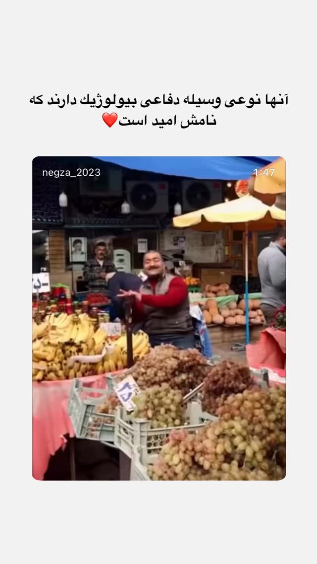  جدید ترین استوری اینستاگرام ملینا تاج