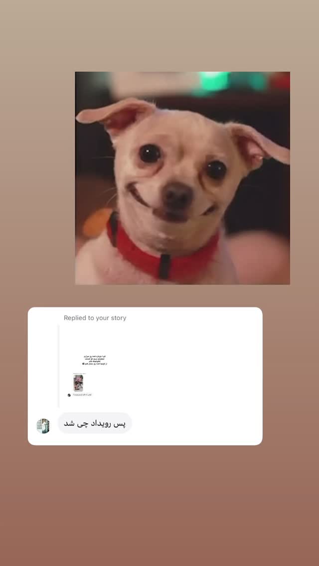  جدید ترین استوری اینستاگرام ملینا تاج