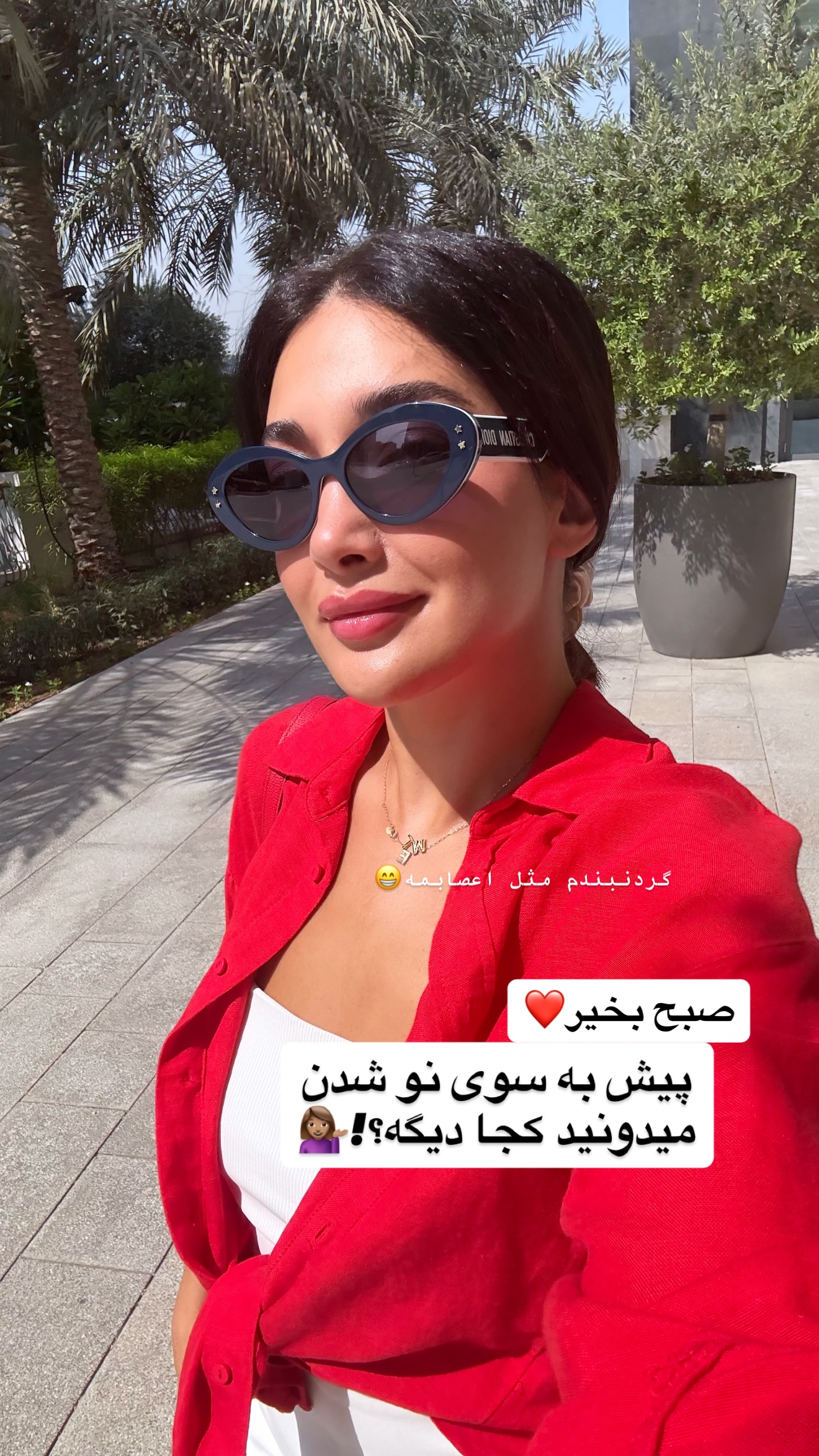  جدید ترین استوری اینستاگرام ملینا تاج