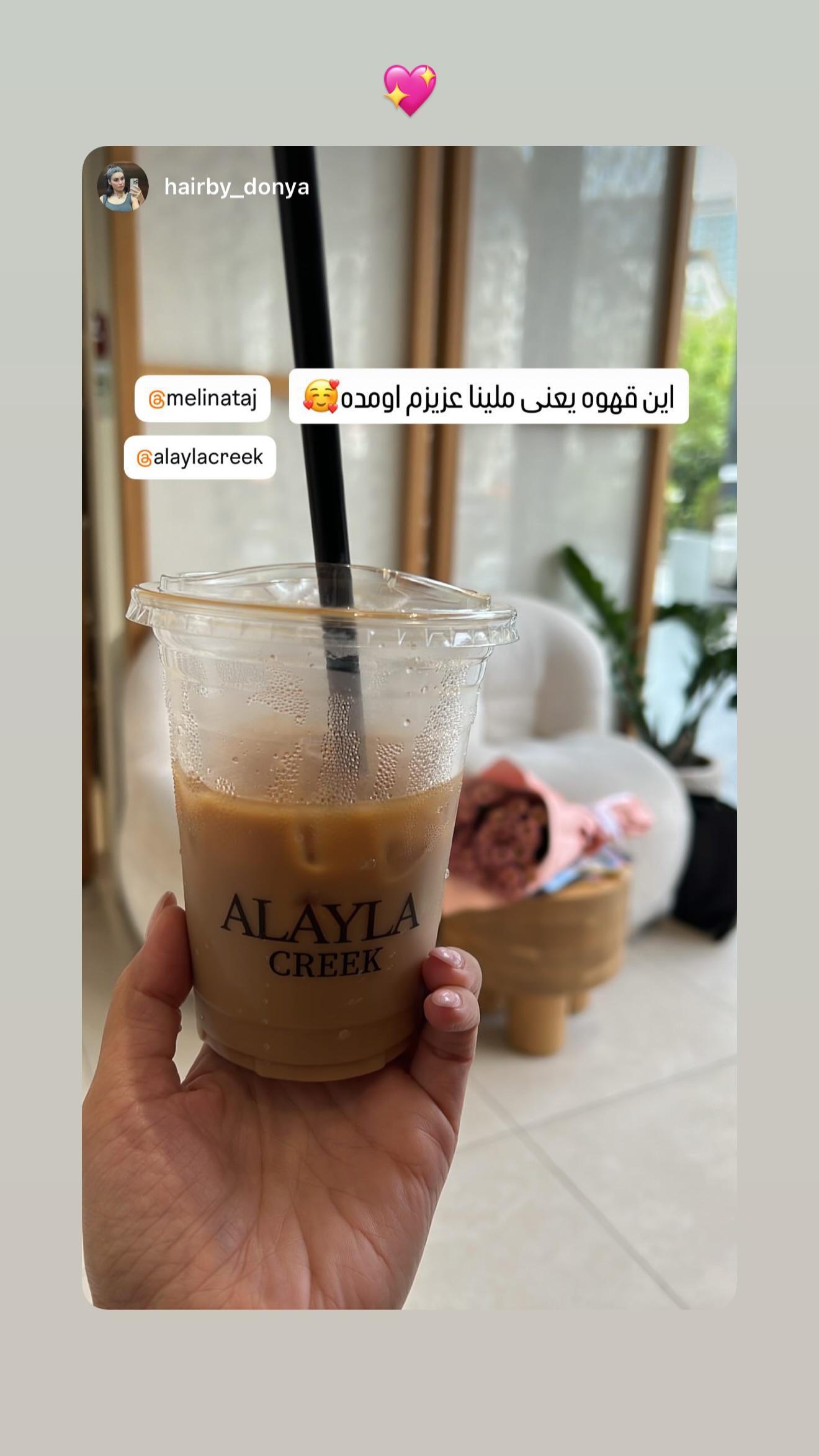  جدید ترین استوری اینستاگرام ملینا تاج