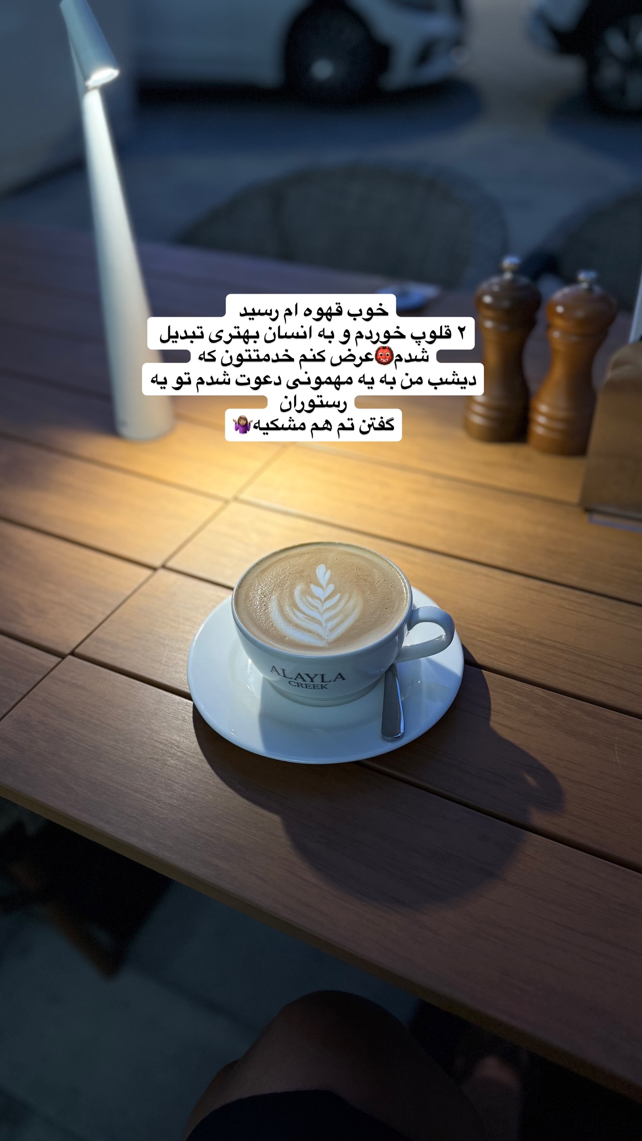  جدید ترین استوری اینستاگرام ملینا تاج