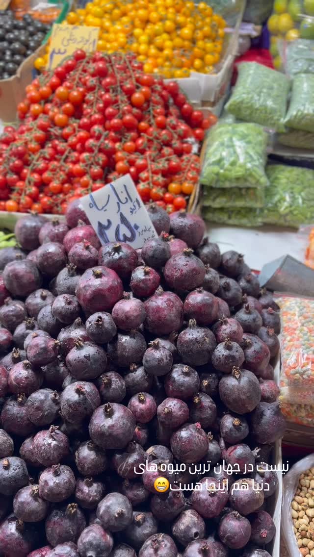  جدید ترین استوری اینستاگرام ملینا تاج