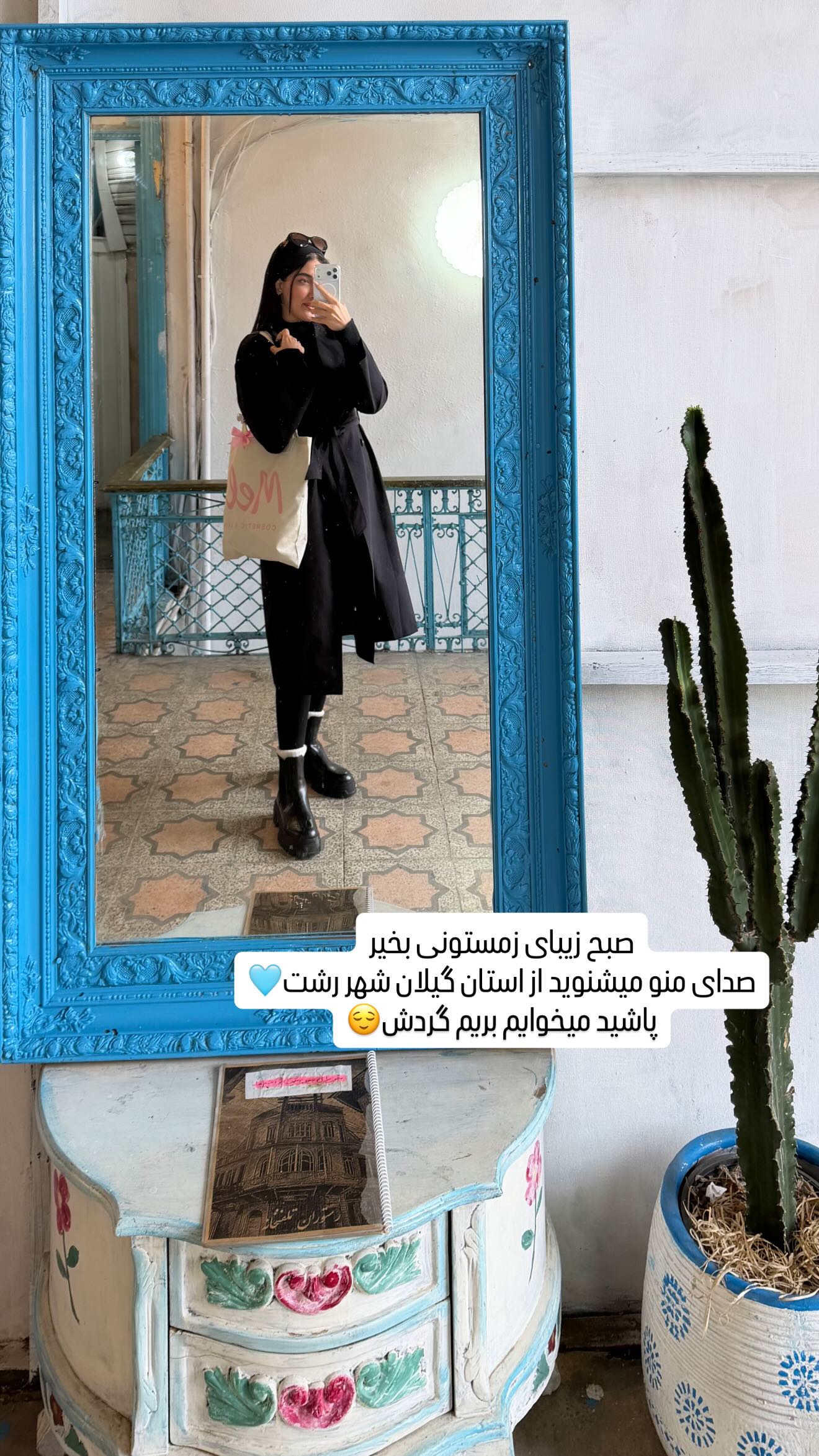  جدید ترین استوری اینستاگرام ملینا تاج