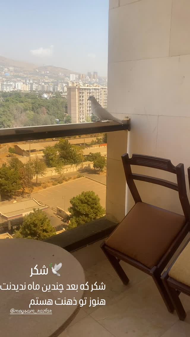  جدید ترین استوری اینستاگرام میثم رازفر