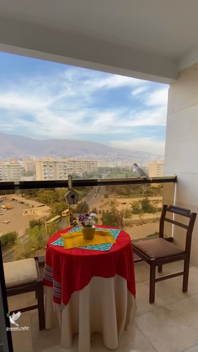  جدید ترین استوری اینستاگرام میثم رازفر