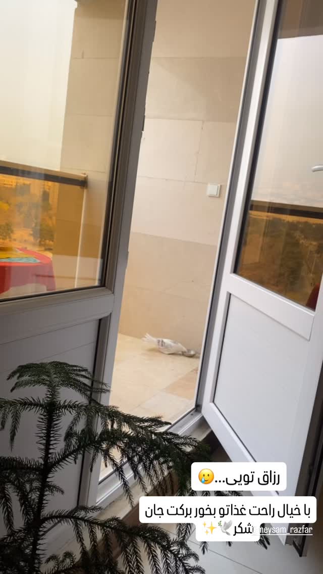  جدید ترین استوری اینستاگرام میثم رازفر