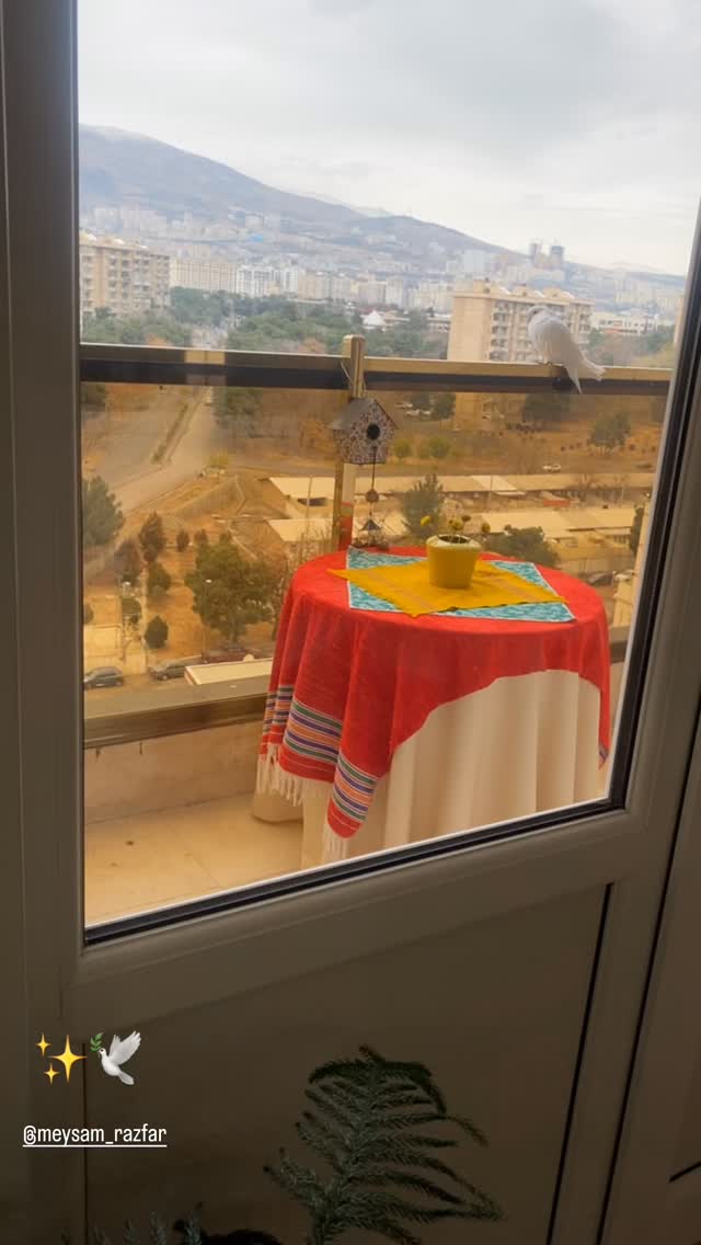  جدید ترین استوری اینستاگرام میثم رازفر