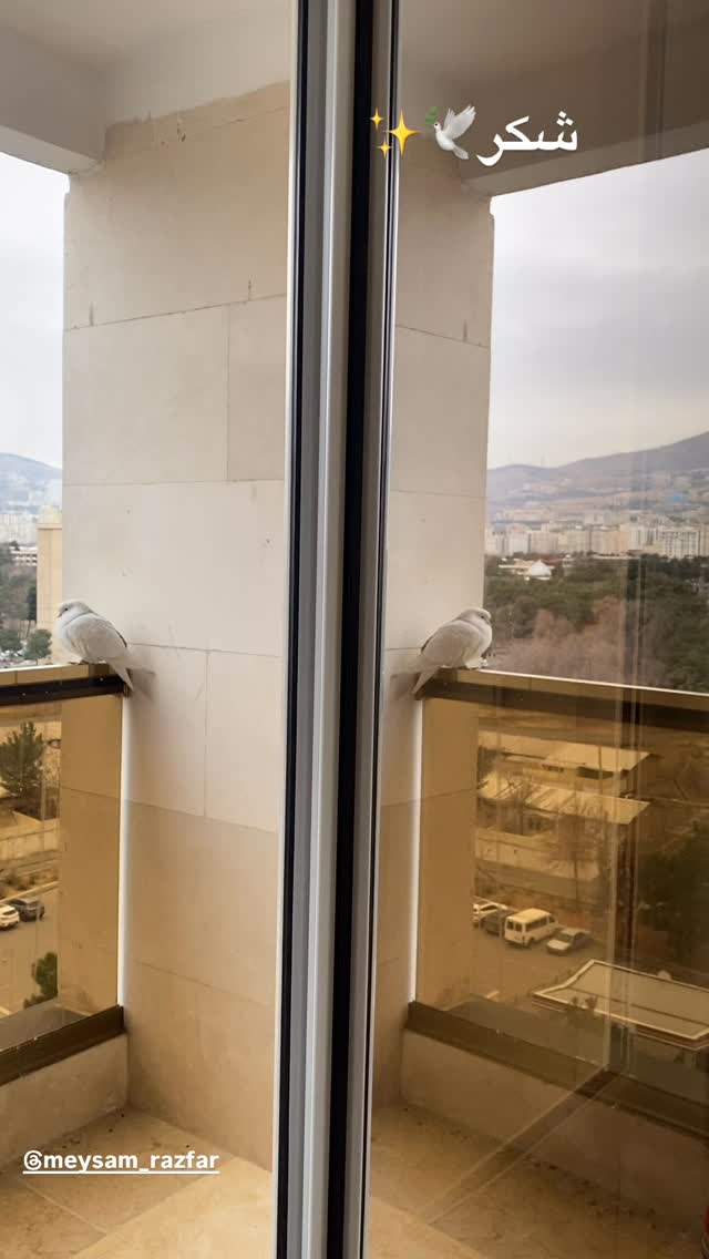  جدید ترین استوری اینستاگرام میثم رازفر