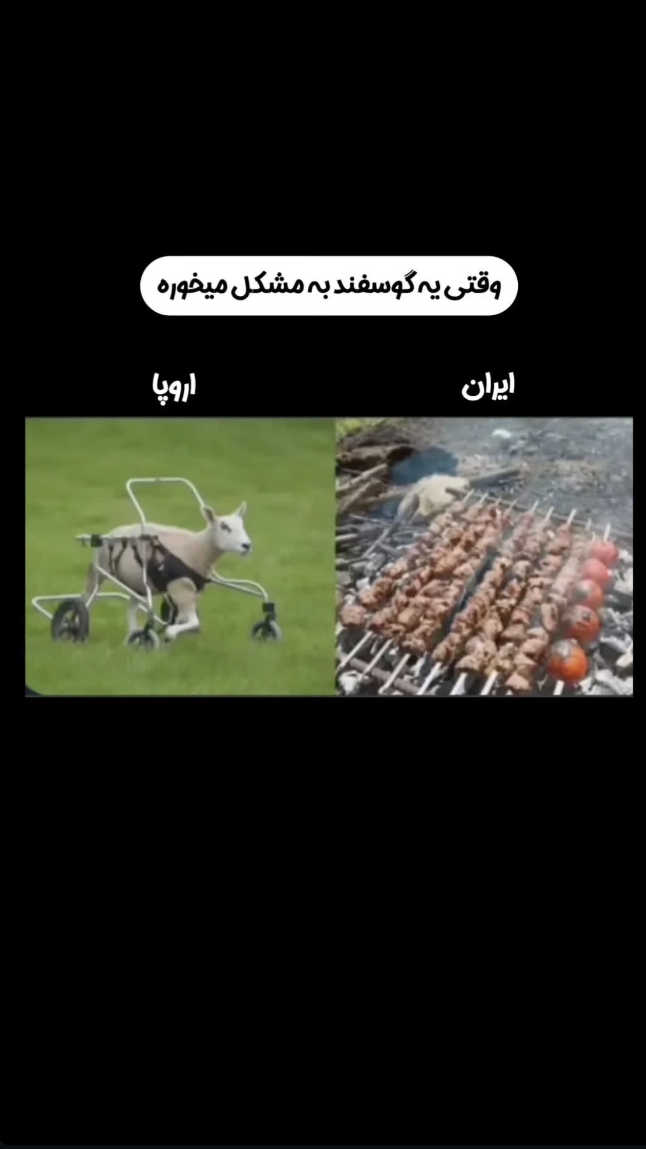  جدید ترین استوری اینستاگرام مهدی امینی