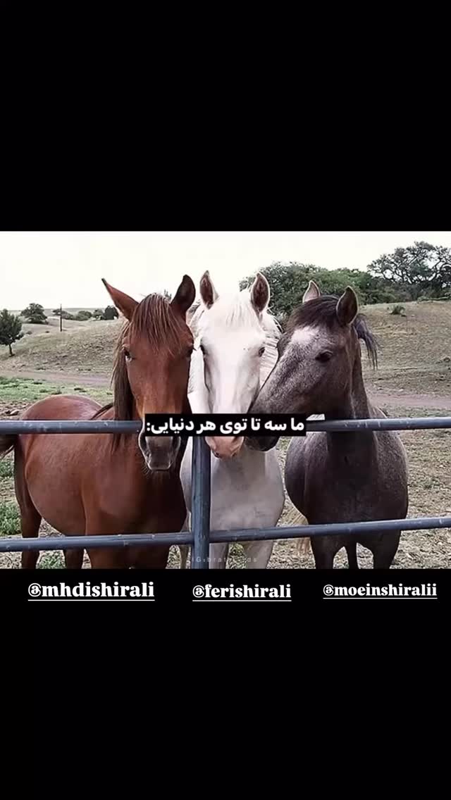  جدید ترین استوری اینستاگرام مهدی شیرعلی