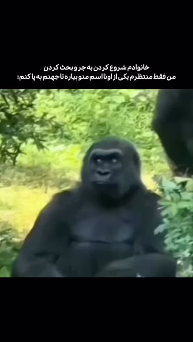  جدید ترین استوری اینستاگرام مهدی شیرعلی