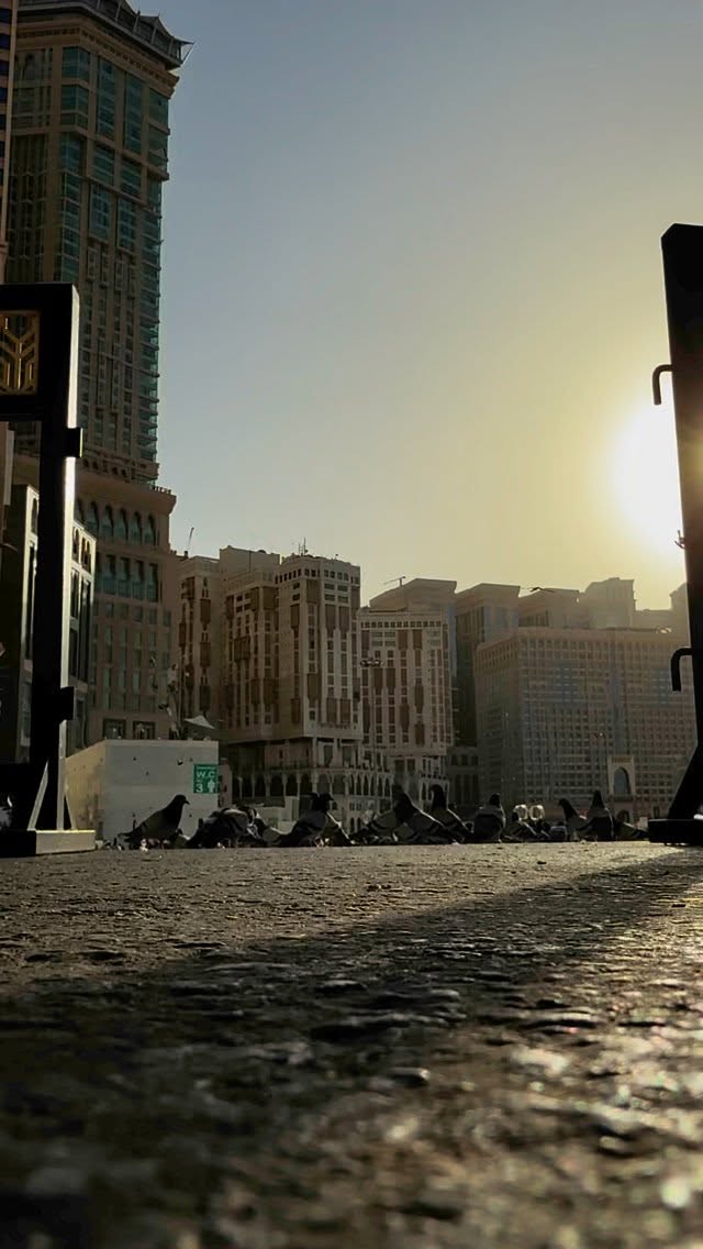  جدید ترین استوری اینستاگرام محمدحسین پویانفر