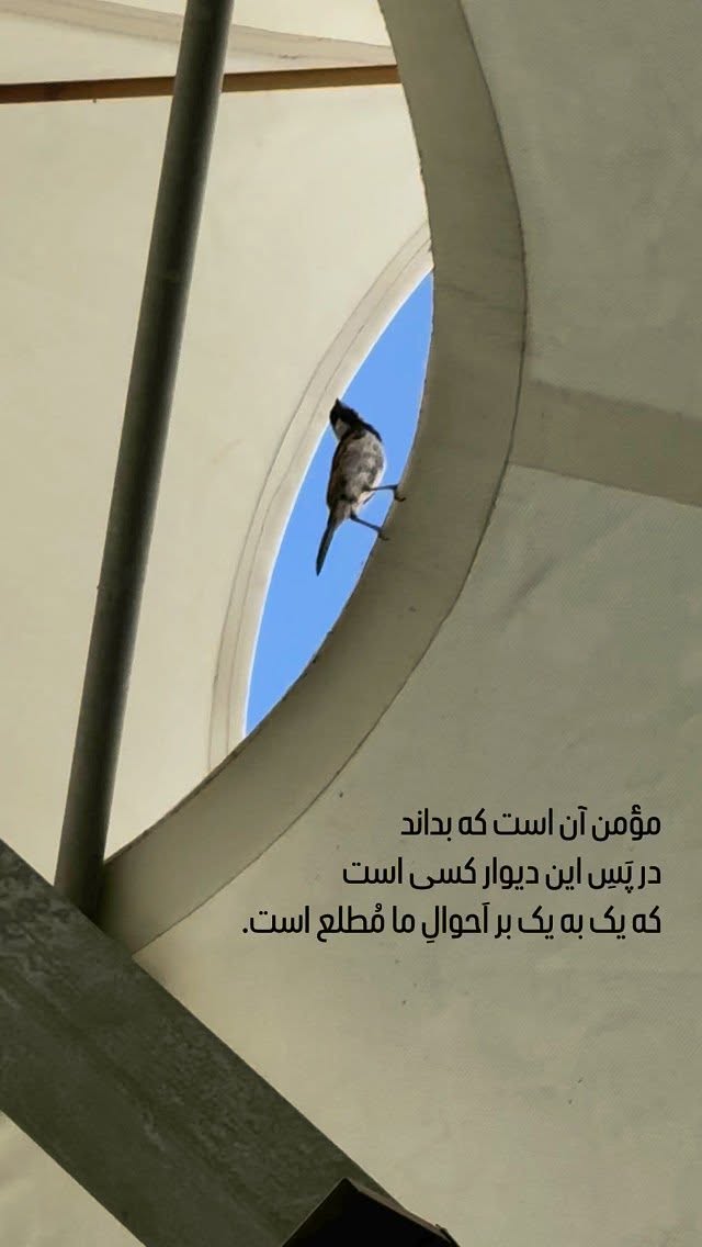  جدید ترین استوری اینستاگرام محمدحسین پویانفر