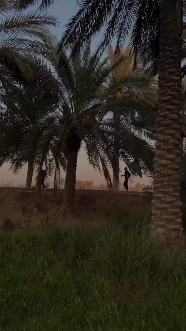  جدید ترین استوری اینستاگرام محمدحسین پویانفر