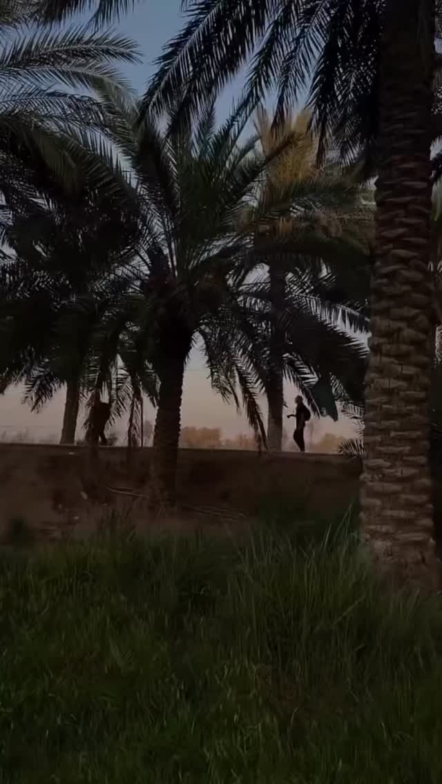  جدید ترین استوری اینستاگرام محمدحسین پویانفر