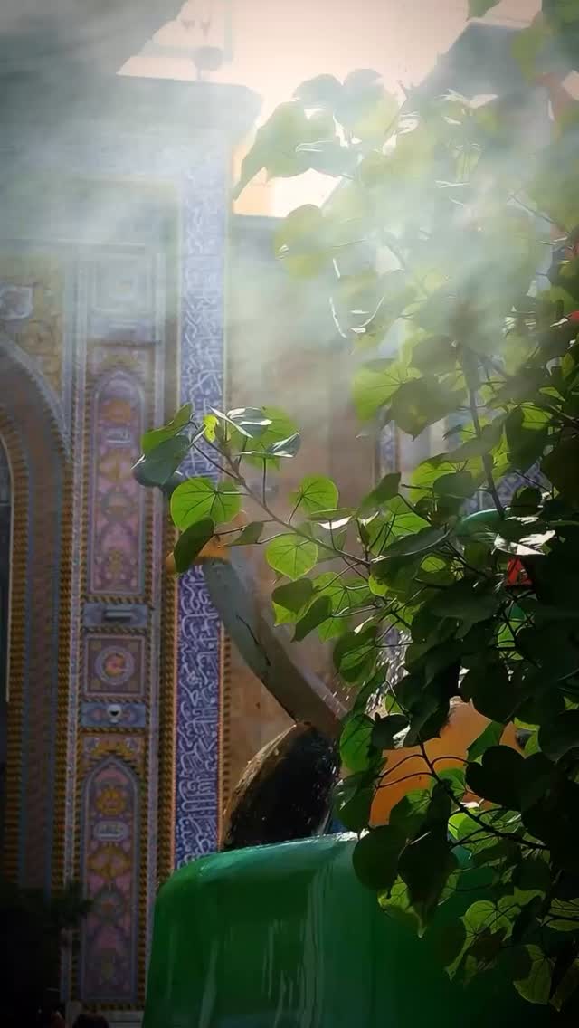  جدید ترین استوری اینستاگرام محمدحسین پویانفر