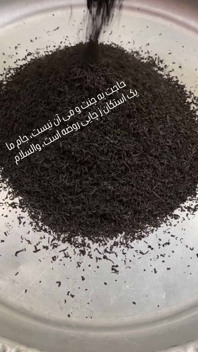  جدید ترین استوری اینستاگرام محمدحسین پویانفر