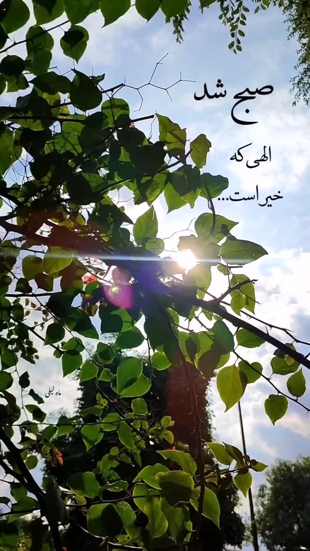  جدید ترین استوری اینستاگرام میعاد جهان بین