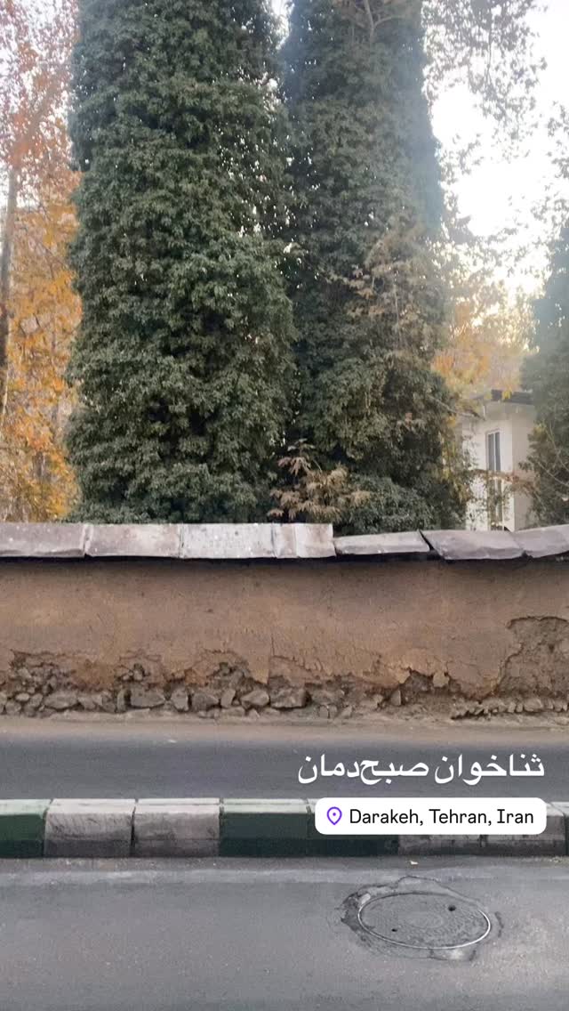  جدید ترین استوری اینستاگرام میکائیل دیانی
