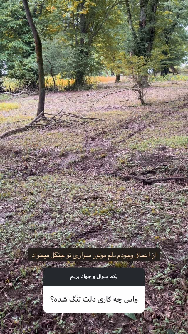  جدید ترین استوری اینستاگرام میلاد